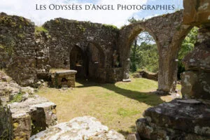 Les ruines de la chapelle Saint-Michel à Lestre