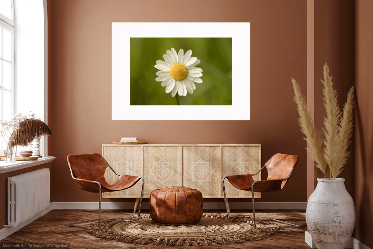 Photo PÂQUERETTE disponible sur papier washi sur bois et sur papier Fine Art