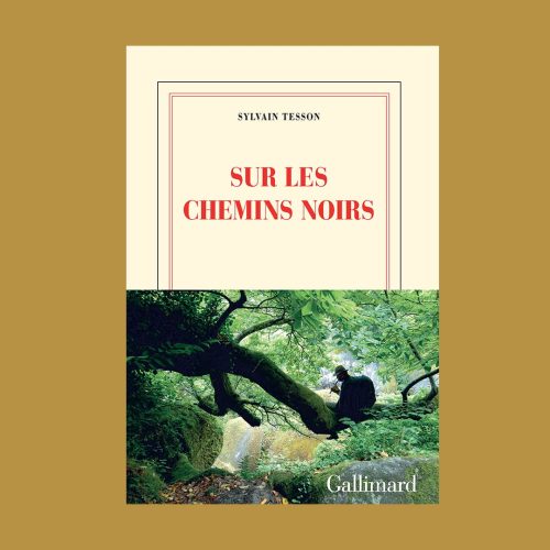 SUR LES CHEMINS NOIRS IMAGE